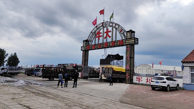 1735703872195492.jpg 微信图片_20230611193326.jpg