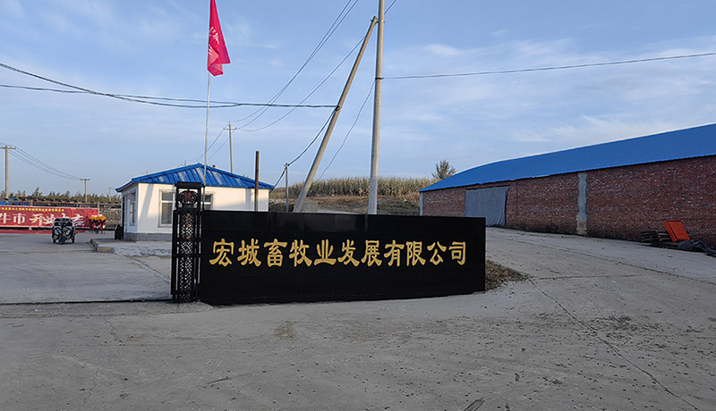 1735704382284555.jpg 微信图片_20230611193326.jpg