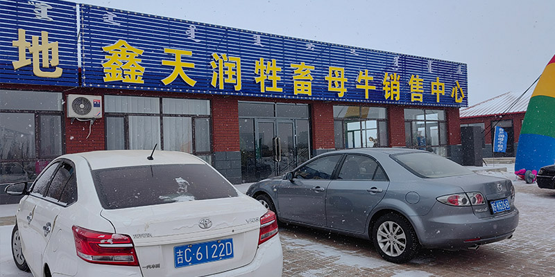 1735706901262577.jpg 1735702402314316.jpg