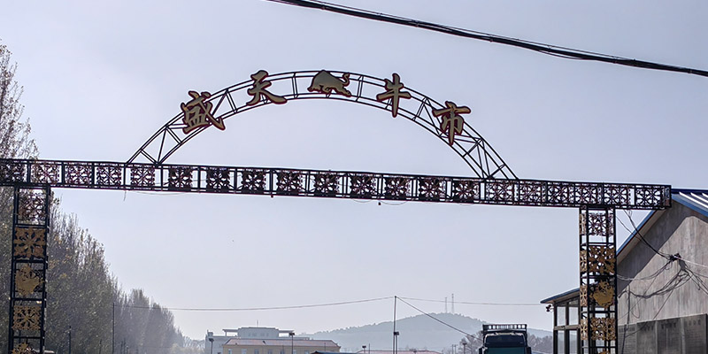 1735707091289063.jpg 1735702402314316.jpg